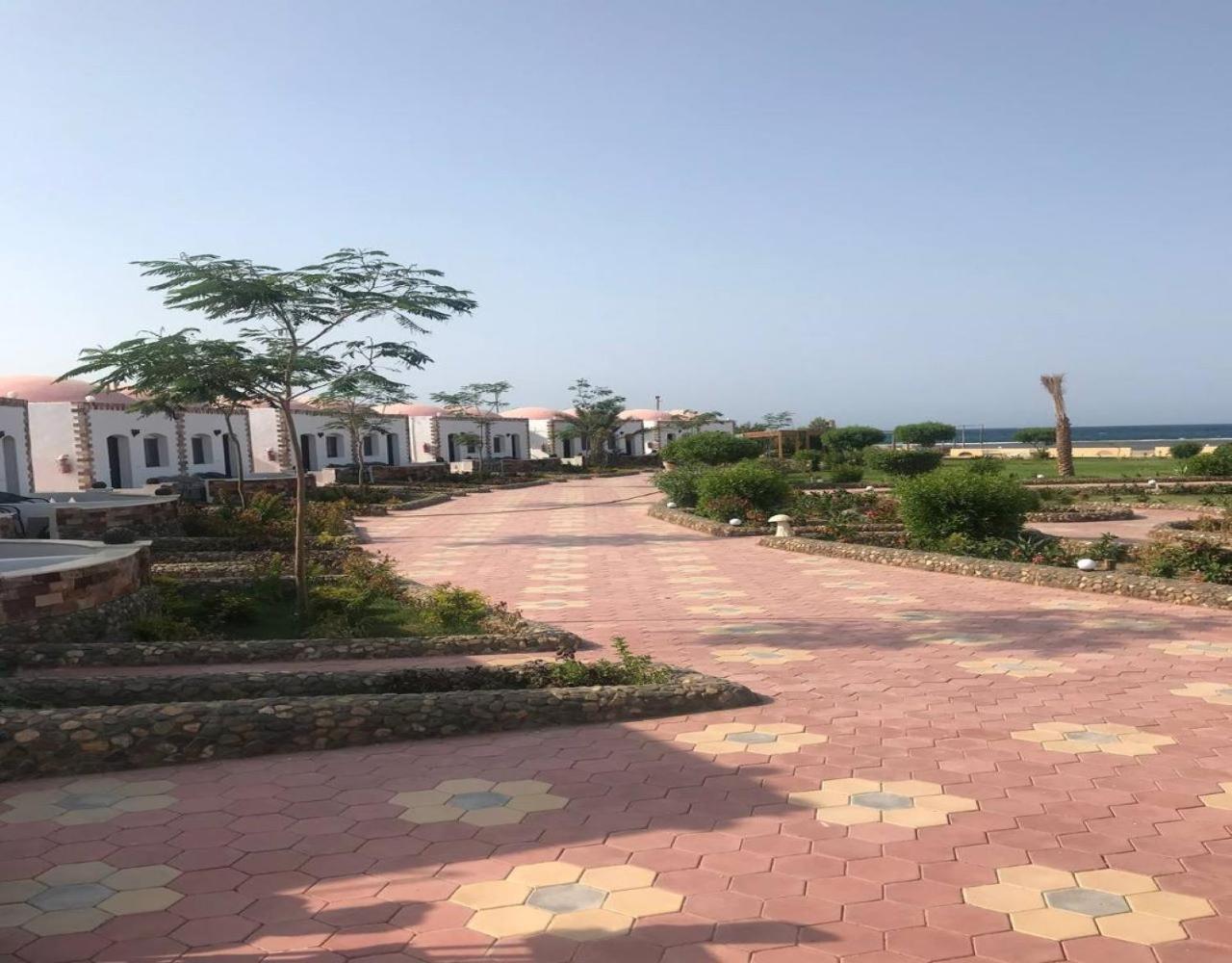 Dolphin Continental Hotel El Qoseir Ruang foto